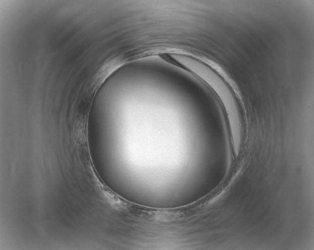 X0000078280905200611172053