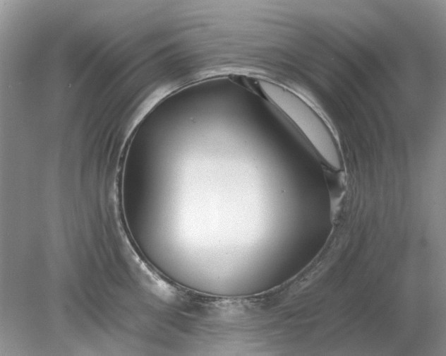 X0000078280906200611172053