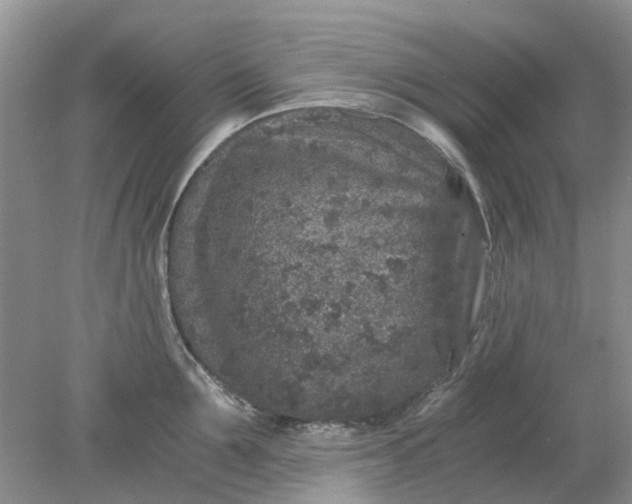 X0000078280907200611172053