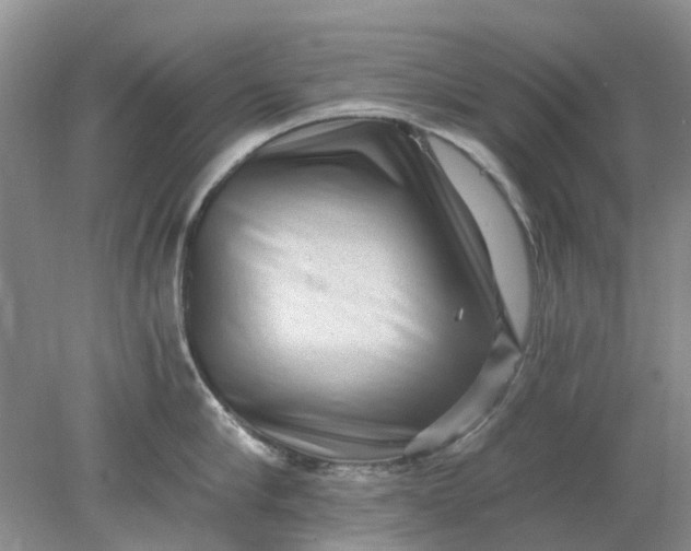 X0000078280910200611172053