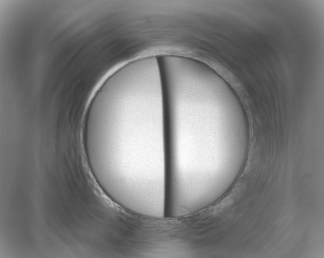 X0000078280912200611172053