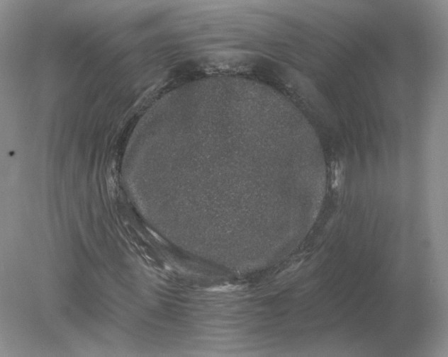 X0000078280915200611172052