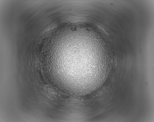 X0000078280917200611172052