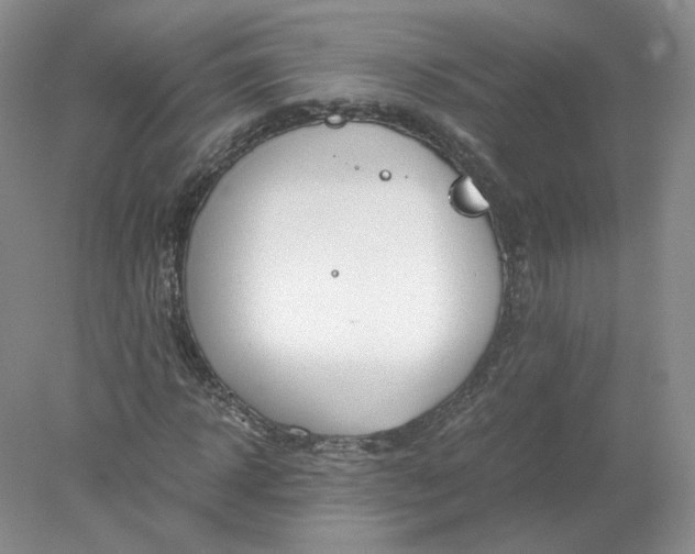 X0000078280918200611172052