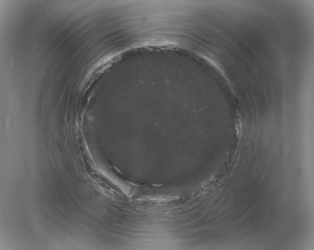 X0000078280920200611172052