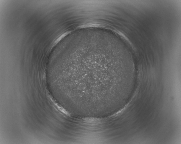 X0000078280921200611172052