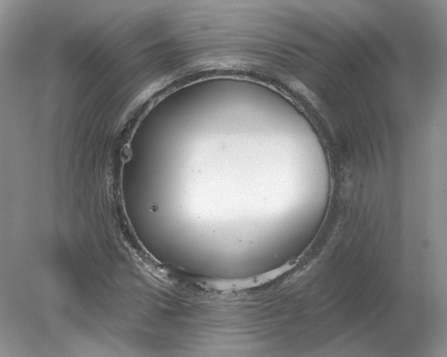 X0000078280922200611172052