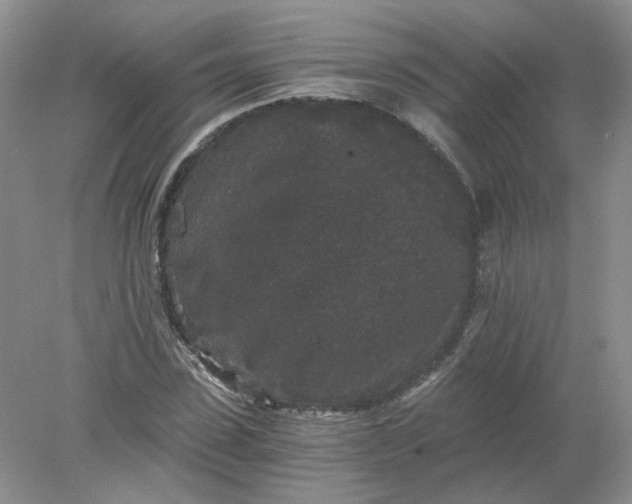 X0000078280923200611172052