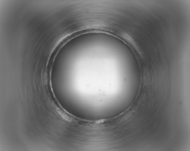 X0000078280924200611172052