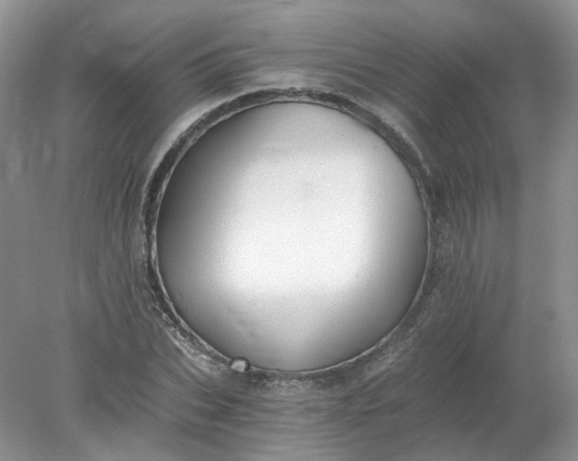 X0000078280927200611172052