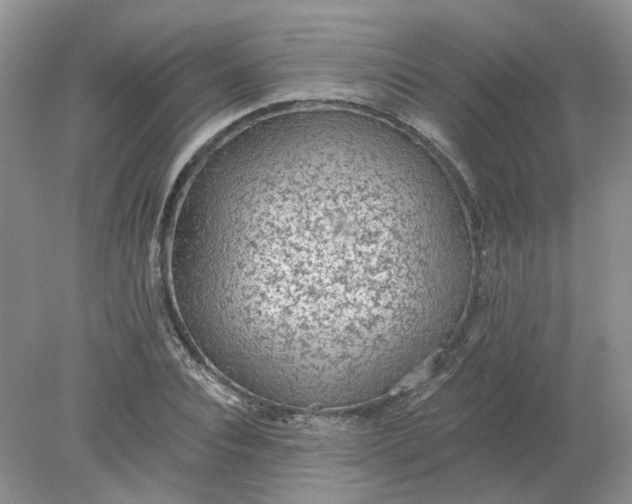 X0000078280928200611172052