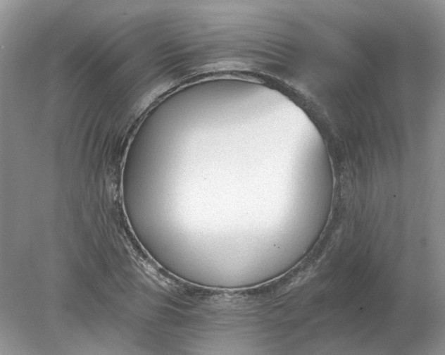 X0000078280929200611172052