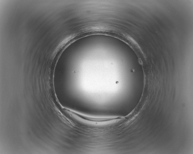 X0000078280930200611172052