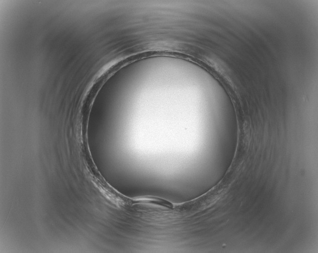 X0000078280931200611172052