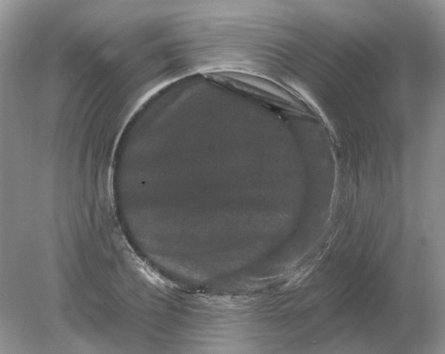 X0000078280932200611172053