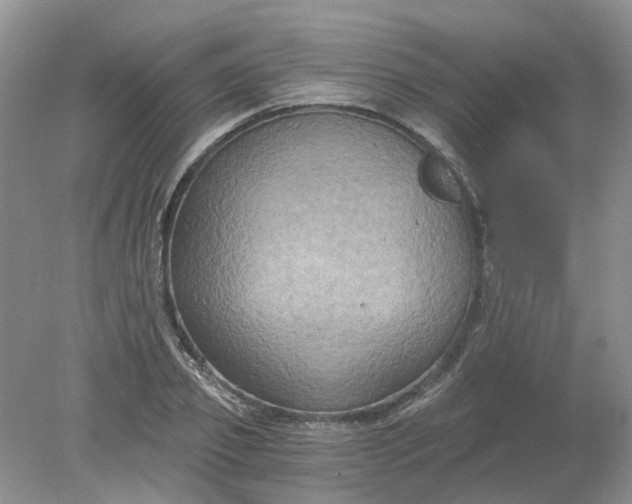 X0000078280933200611172053