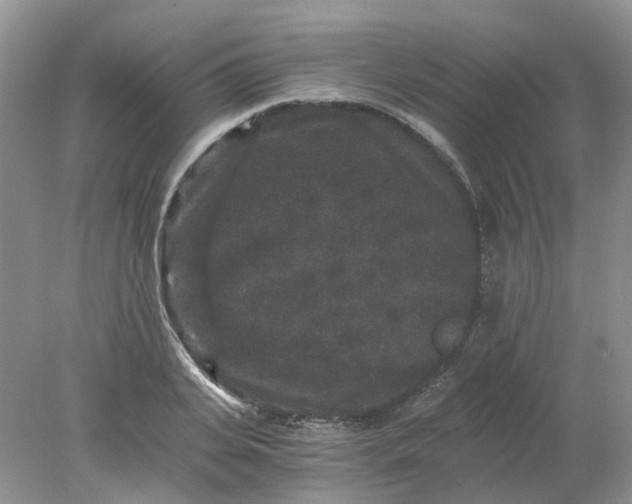 X0000078280935200611172053