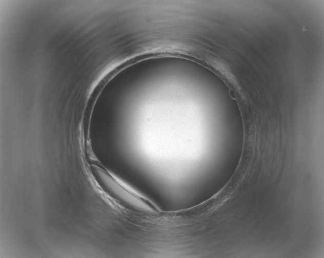 X0000078280936200611172053