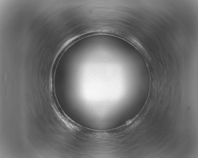 X0000078280940200611172053