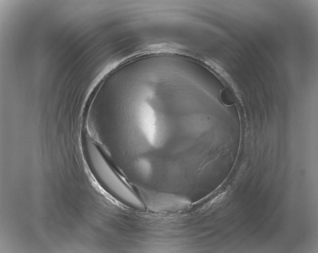 X0000078280941200611172053