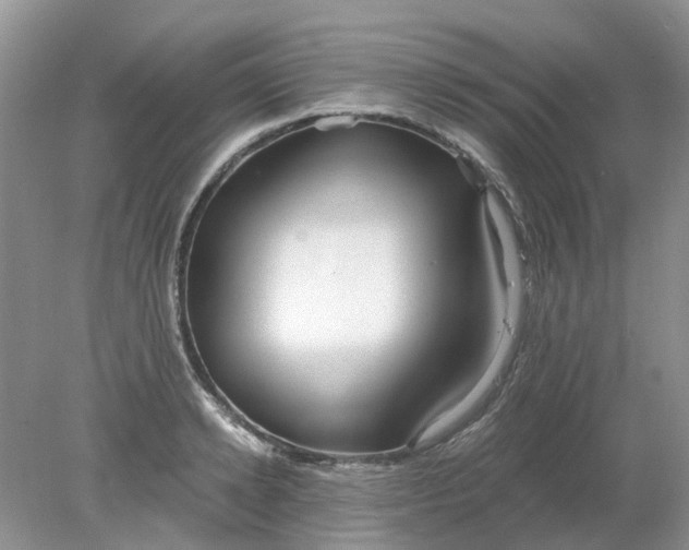 X0000078280942200611172053