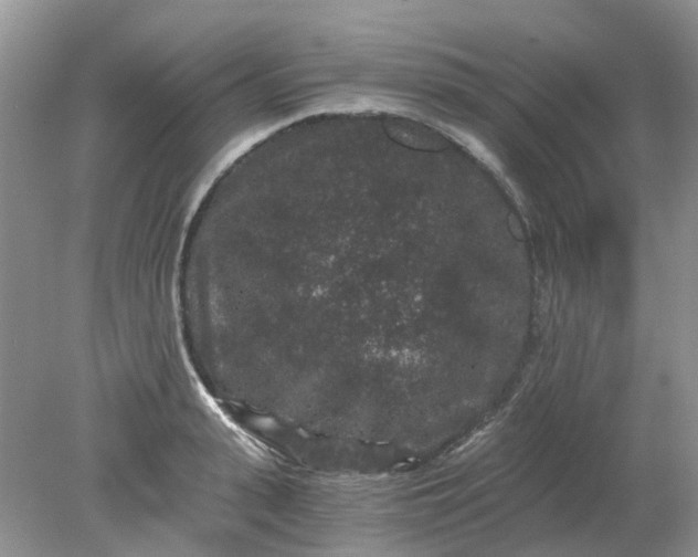 X0000078280943200611172053