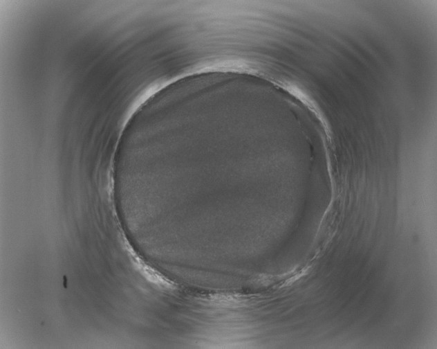 X0000078280944200611172053