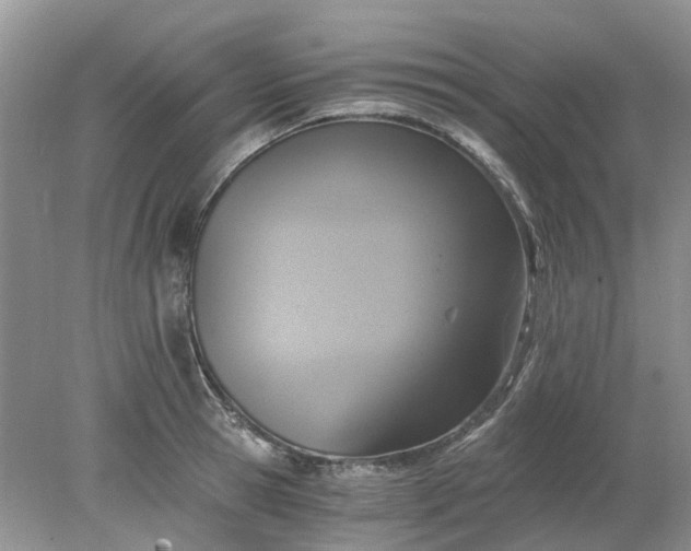 X0000078280945200611172053