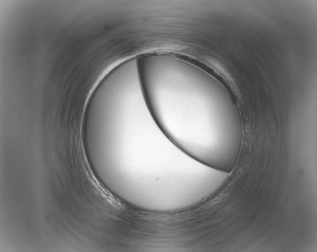 X0000078280948200611172053