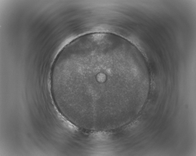 X0000078280950200611172053