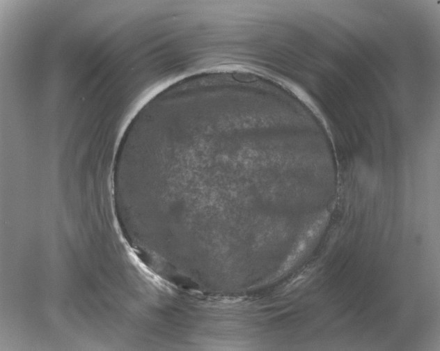 X0000078280951200611172053