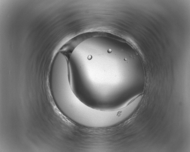 X0000078280952200611172053