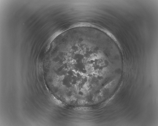 X0000078280953200611172053