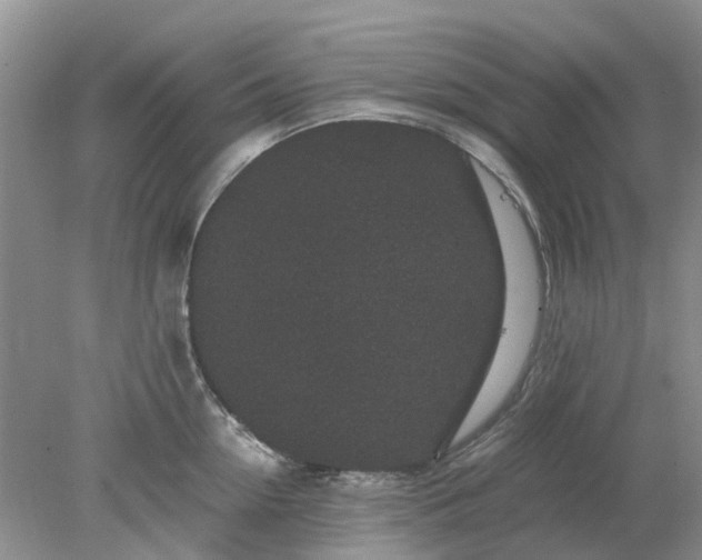 X0000078280954200611172053