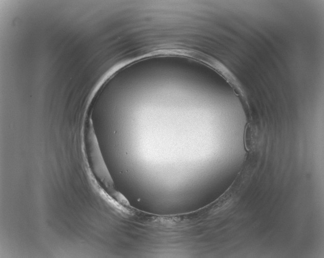 X0000078280955200611172053