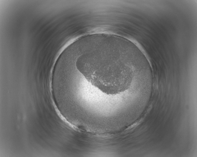 X0000078280957200611172053