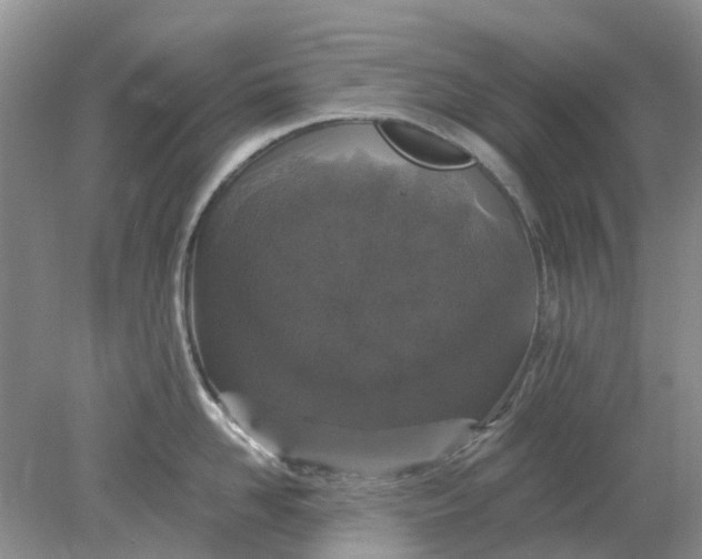 X0000078280958200611172053