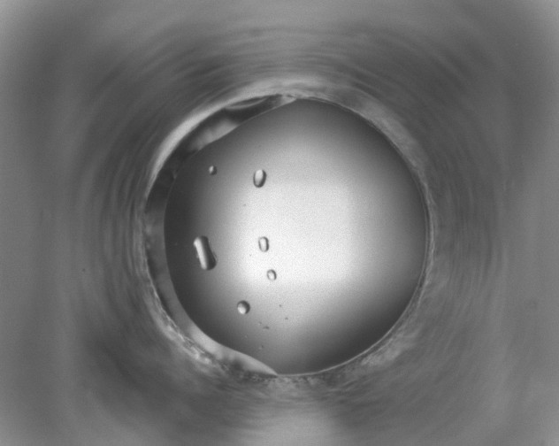 X0000078280960200611172053