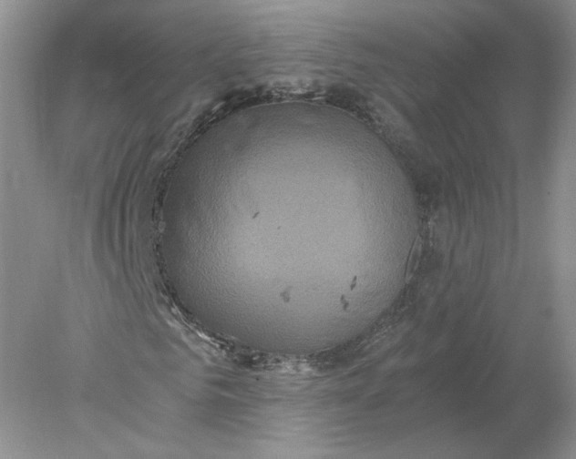 X0000078280961200611172052