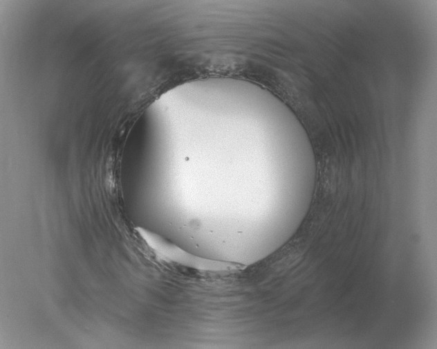 X0000078280962200611172052