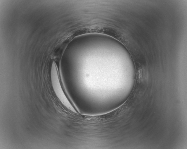 X0000078280963200611172052