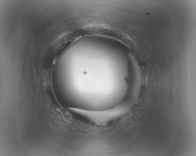 X0000078280965200611172052