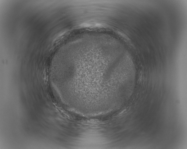 X0000078280966200611172052