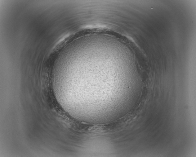 X0000078280967200611172052