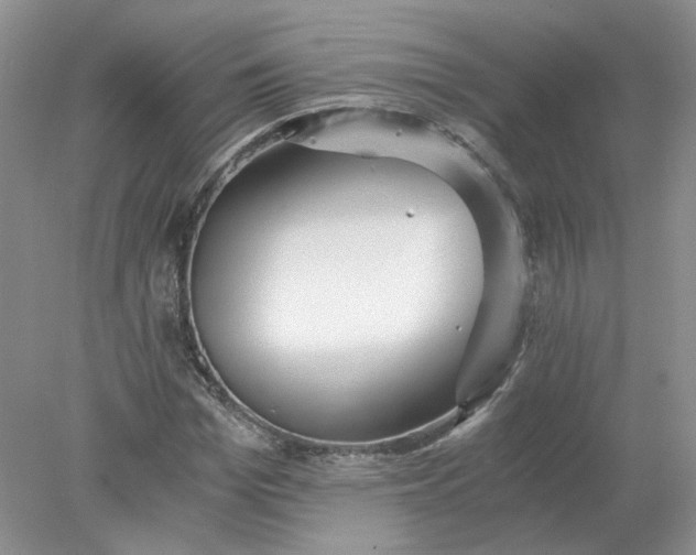 X0000078280969200611172052