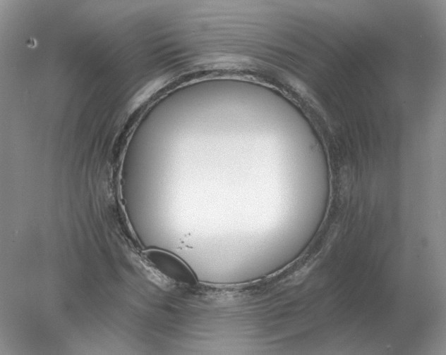 X0000078280970200611172052