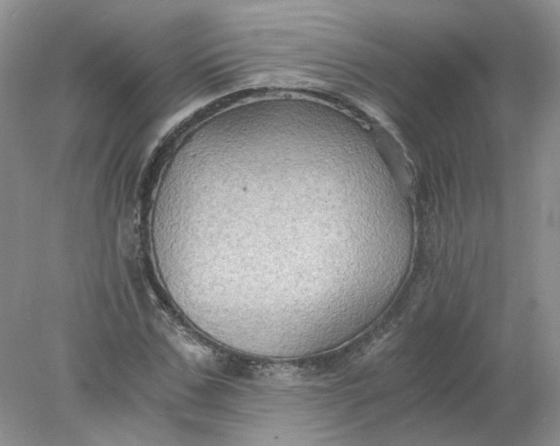 X0000078280971200611172052