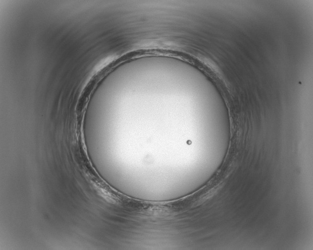 X0000078280974200611172052