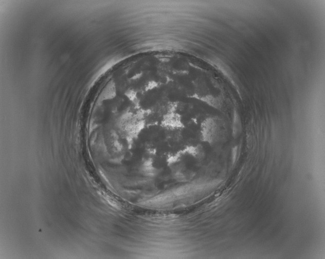 X0000078280975200611172052