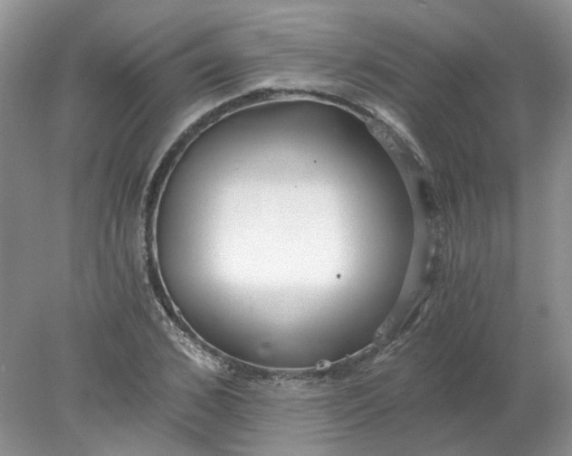 X0000078280976200611172052